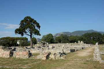Fototapeta na wymiar Italia : Veduta del parco Archeologico di Paestum,2 Giugno 2021.