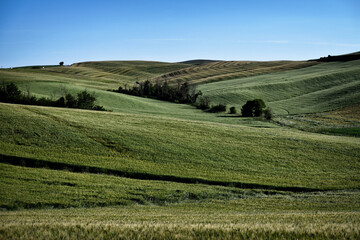 Magical places and hills of Tuscany  