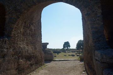 Italia : Veduta del parco Archeologico di Paestum,2 Giugno 2021.