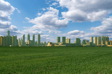 Fototapeta na wymiar Green field. Skyscrapers on the horizon. Eco city concept
