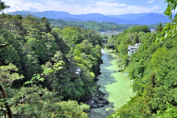 Fototapeta na wymiar 長野県飯田市　名勝　天竜峡の風景