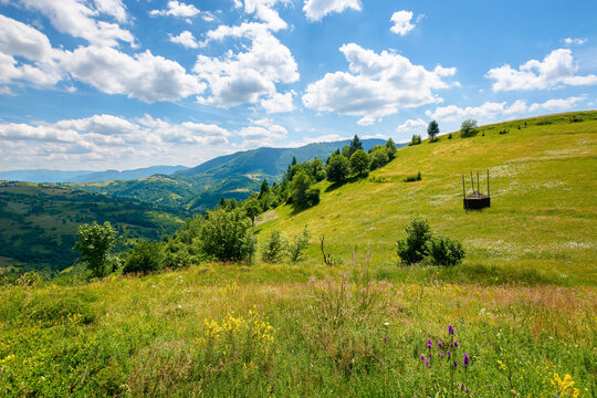 grassy pasture on the hill in summer. empty hay shed on the field. carpathian rural landscape in mountains on a sunny day. sky with clouds above the distant ridge