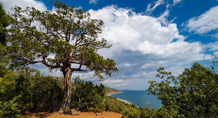 Crimea sea mountains Nature of Crimea Beautiful places of Crimea