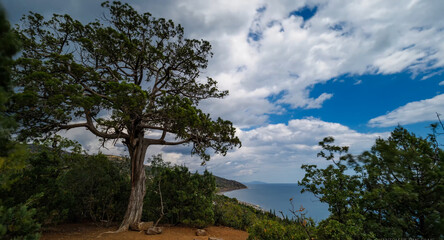 Crimea sea mountains Nature of Crimea Beautiful places of Crimea