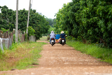 Obraz premium Thai farmers riding motorcycle trailer Carrying agricultural tools to work in the garden