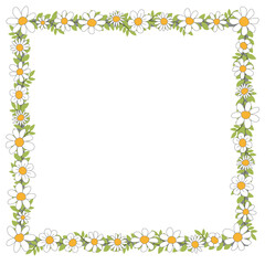 Blumenkranz Blumen als Rahmen, weiße Gänseblümchen oder Margeriten mit grünen Blättern und Lorbeer, Handzeichnung