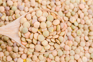 Lentils seeds grounp.