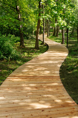 Ecological, wooden walking path in the forest