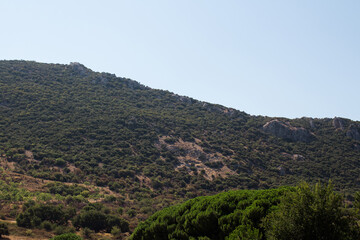 Fototapeta na wymiar View of Aegean landscape in a sunny summer day captured in Turkey.