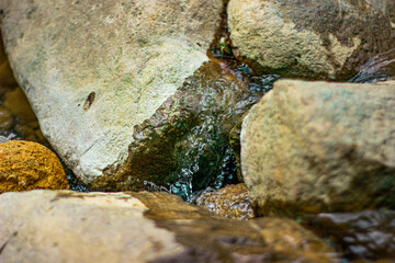 Riverside Rocks; Rocks - Bebatuan (Indonesian)