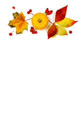 Abstract autumn. Natural food, harvest with orange pumpkin, fall dried leaves, rowan berries...