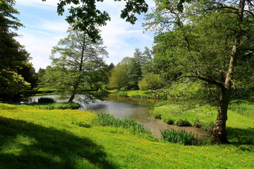 Fototapeta na wymiar A woodland landscape scene in the Kent countryside