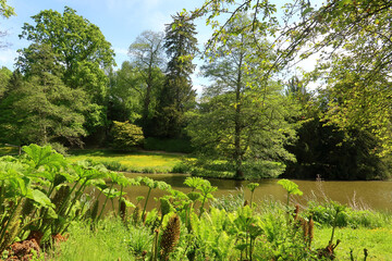 A woodland lake in the Kent Countryside