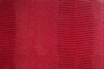 Red fine texture of snake leather. Natural expensive products - 437677555