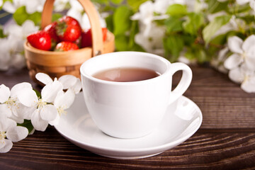 Cup of tea with white apple blossoms. Spring concept.