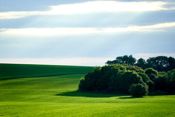 green field and blue sky with light clouds
