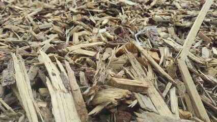 Biofuel chips. A pile of wood chips for heating industrial boilers close-up. Background and texture