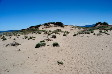 Veduta della spiaggia Pirotti li Frati nel comune di Badesi