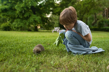 Fototapeta na wymiar Two brother boys looking at wild hedgehog on the grass. High quality photo