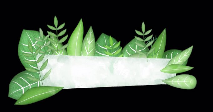 Stylized lower third made of animated leaves. Vegetable underlay with a blank space for text or information. Floral text plate with transparent background.