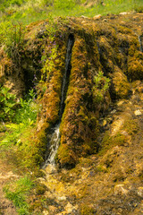 The waterfall flows from a travertine mound, which is overgrown with moss and flowers