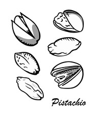 Hand-drawn cashews with shadows. Outline style, ink drawing vector illustration on isolated background.