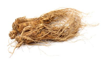  ginseng isolated on white background