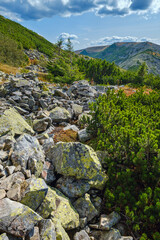 Summer Carpathian mountains view. Stony Gorgany massif, Ukraine.