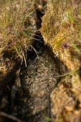 Mineralized water created a travertine stream with sediments 