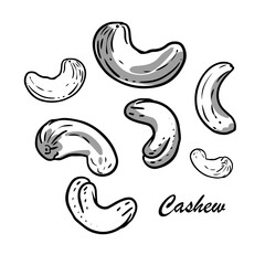 Hand-drawn cashews with shadows. Outline style, ink drawing vector illustration on isolated background.