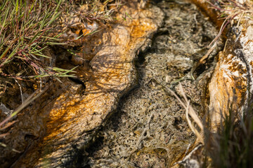 Mineralized water created a travertine stream with sediments 