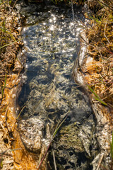Mineralized water created a travertine stream with sediments 