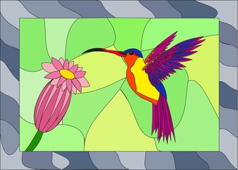 bird, hummingbird