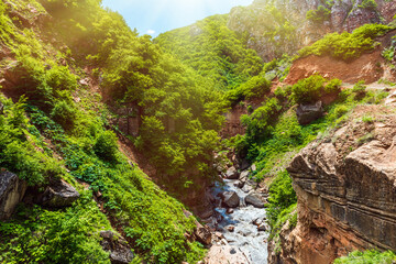 Fototapeta na wymiar Fast mountain river in the gorge