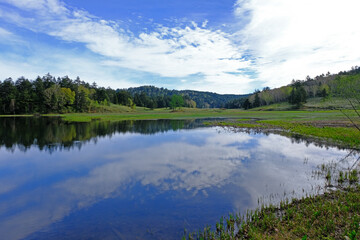 Fototapeta na wymiar 青空に映える新緑に囲まれた尾瀬の湿原