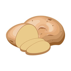 Cartoon vector illustration isolated object vegetable potato
