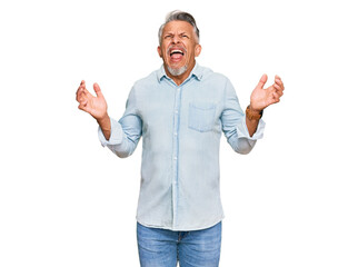 Fototapeta premium Middle age grey-haired man wearing casual clothes crazy and mad shouting and yelling with aggressive expression and arms raised. frustration concept.