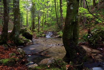 Obraz premium Frillenseebach