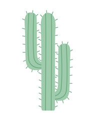 pretty cactus representation