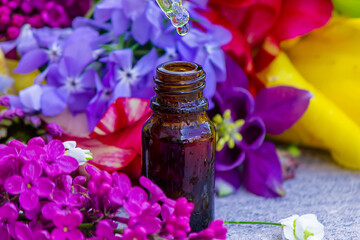 Flower Buzz Collection Flower essential oil. Lilac essential oil in a bottle. Selective focus