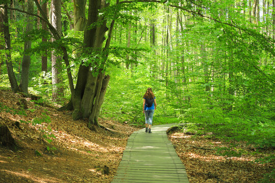 Hiking in nature reserve "Briesetal" in federal state Brandenburg - Germany 
