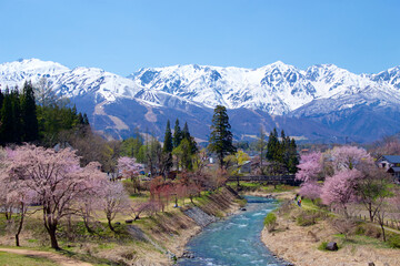 View of the spring Hakuba village oide Park in Japan.