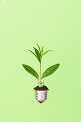 Fototapeta na wymiar Light bulb with green plant as a concept of eco energy. Creative idea of eco alternative energy.