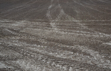 Agriculture. Tractor cultivated land. A field with traces of wheeled vehicles in early spring for sowing cereals.