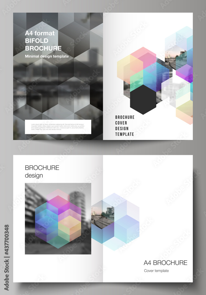 Wall mural vector layout of two a4 format cover mockups design templates with abstract shapes and colors for bi