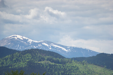 Obraz premium Beautiful spring panorama of the Carpathian mountains