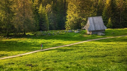 Droga, bacówka, ławki ze stołami na Rusinowej Polanie w złotej godzinie
