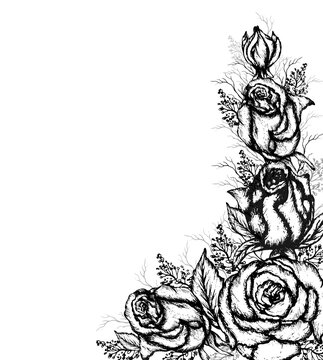 a modern, monochrome bouquet of pink blades of grass. Flower bouquet, hand-drawn, isolated on a white background. background, wallpaper with a space for text. artistic sketch in vintage style.