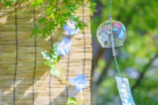 もみじの木の下の風鈴　すだれ 朝顔