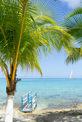 Vertical view of a beach on the island of Cozumel in Mexico, with palm trees, the turquoise sea, and a Hobie Cat sailing.